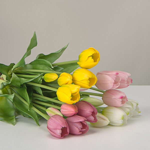 Tulipany-10.jpg