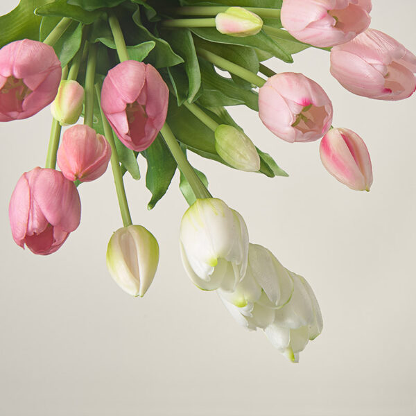 Tulipany-11.jpg