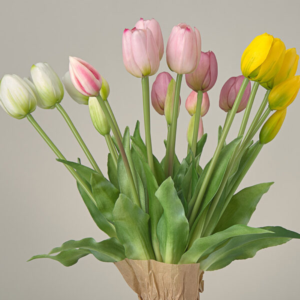 Tulipany-9.jpg